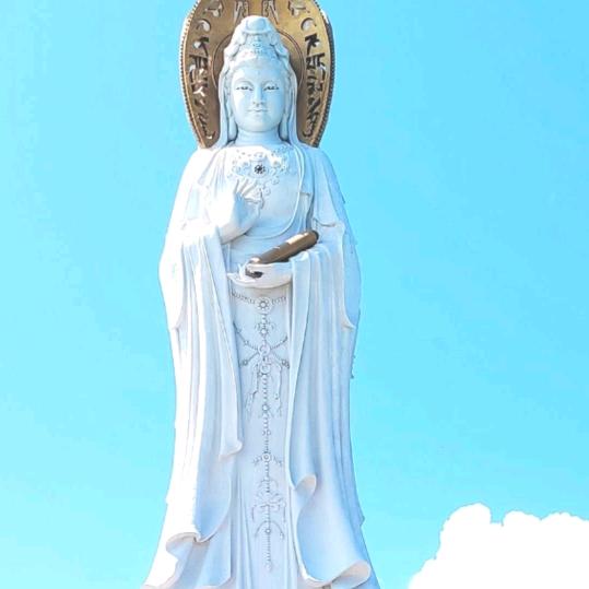 哈密瓜连赞拉黑🌷🌷🌷