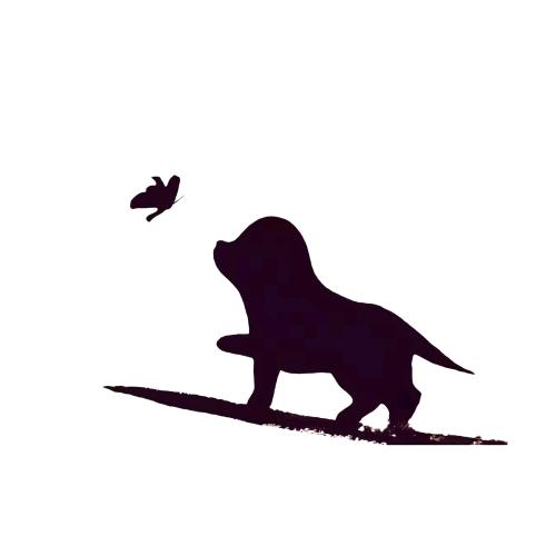 衡水柏顺食品有限责任公司客服lucy