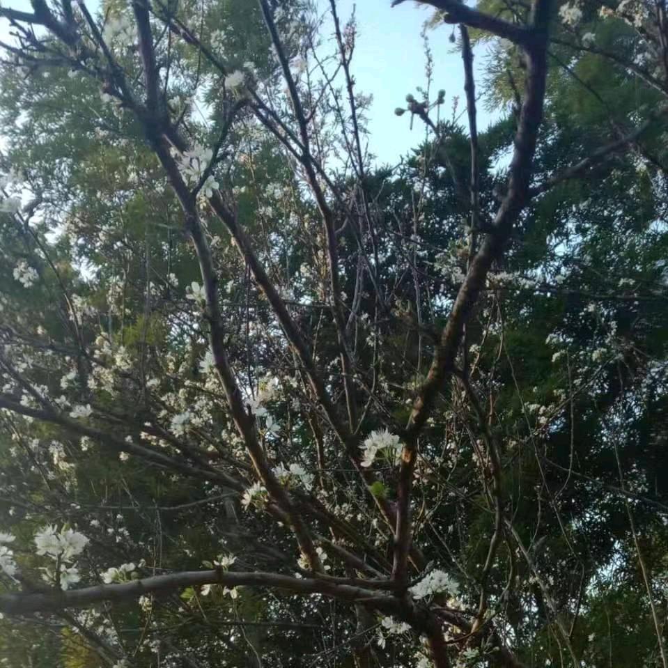 ঞৣ᭄独醉ഒᩚོ࿐