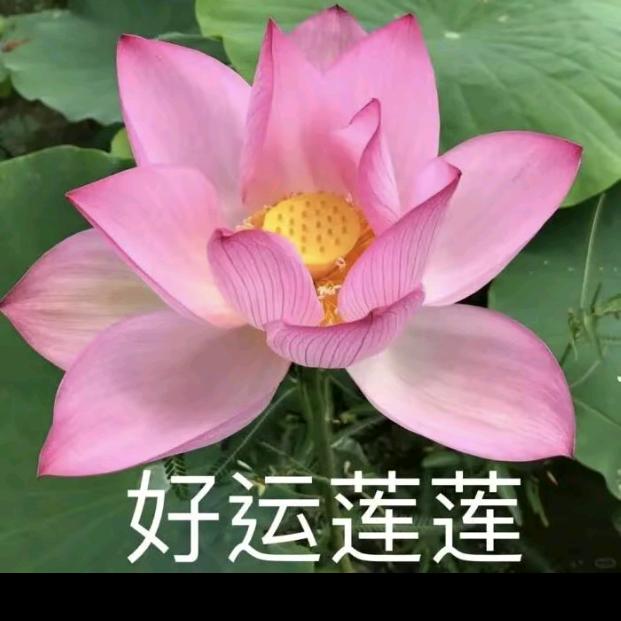 行者