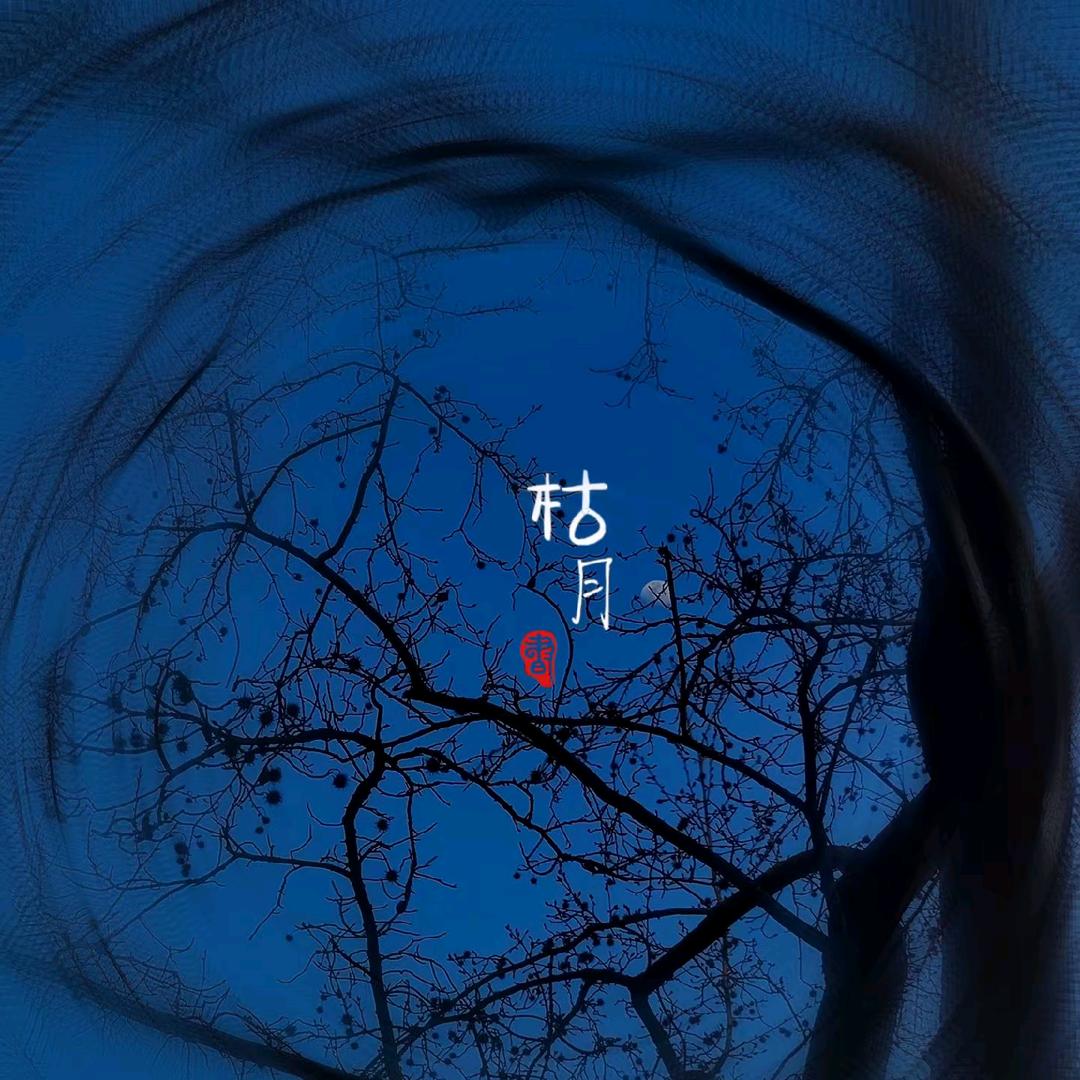 光屿日记