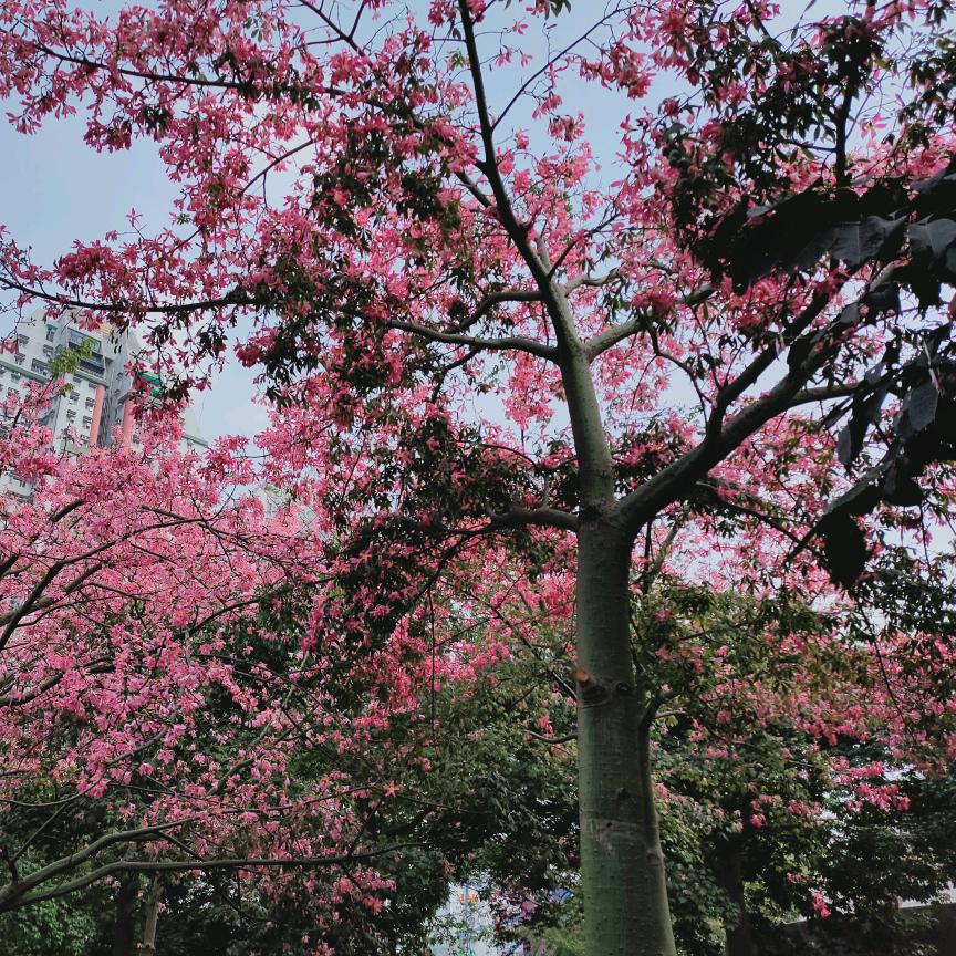 🌈随性