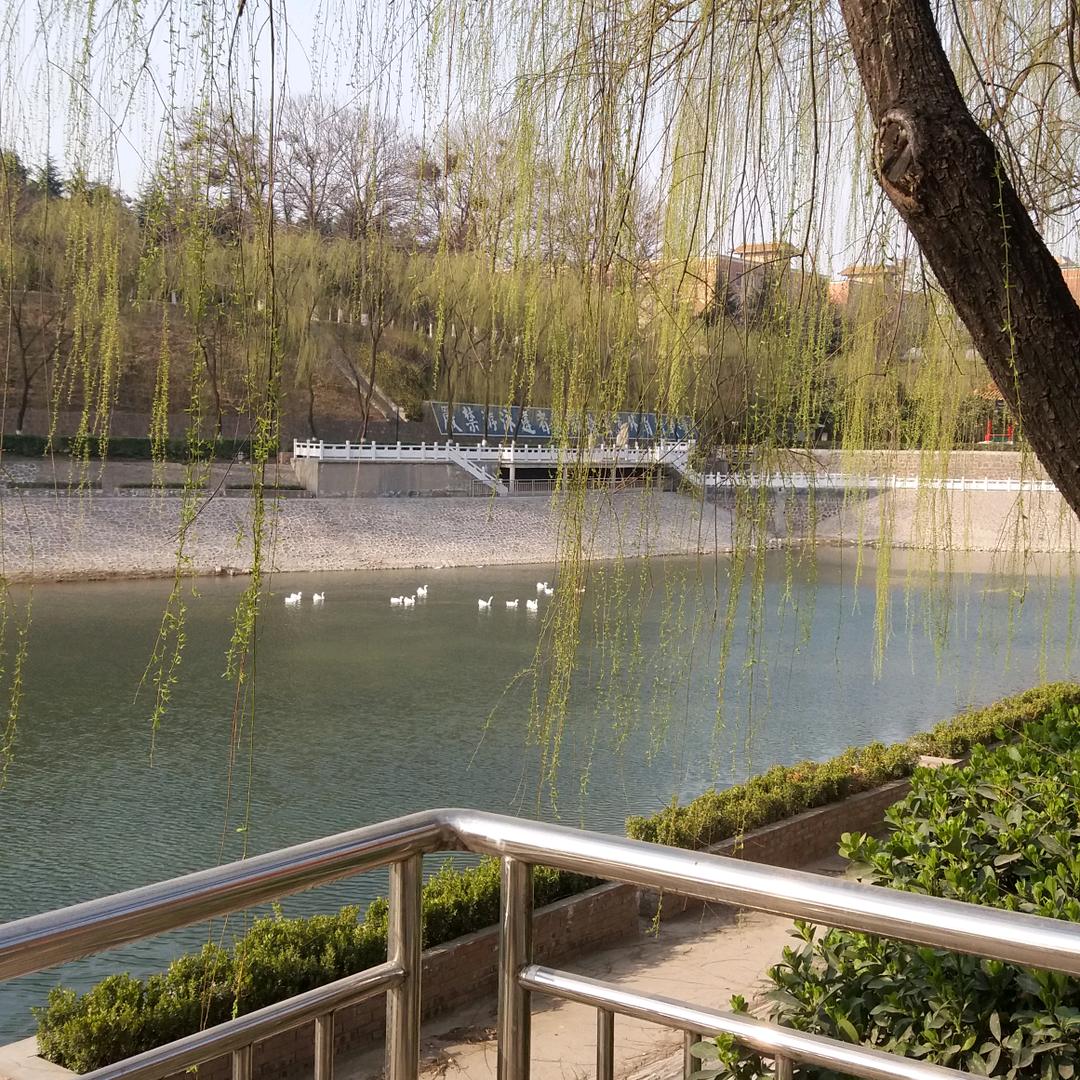 专业的人做专业的事