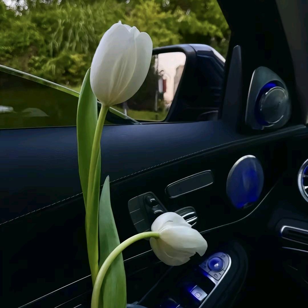 旺玉的玉帝💯💕