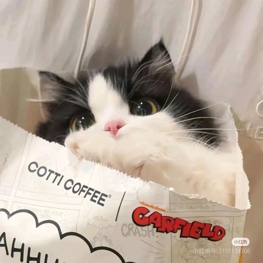 🐱小猫蛋黄酥🐱≥^·.·