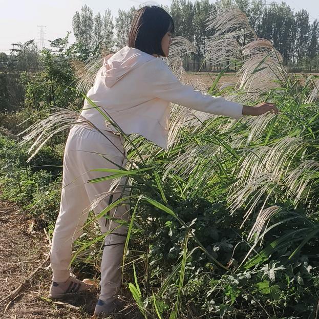 雅淑妈妈（好物优选）