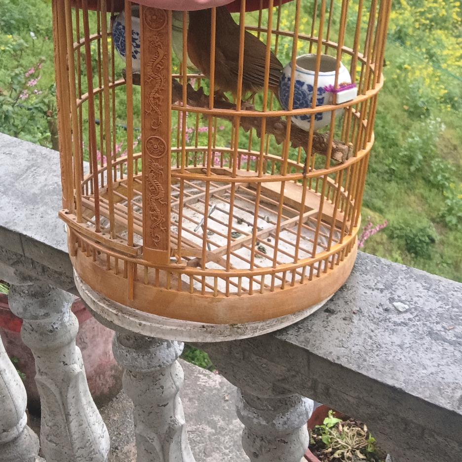 建筑哥
