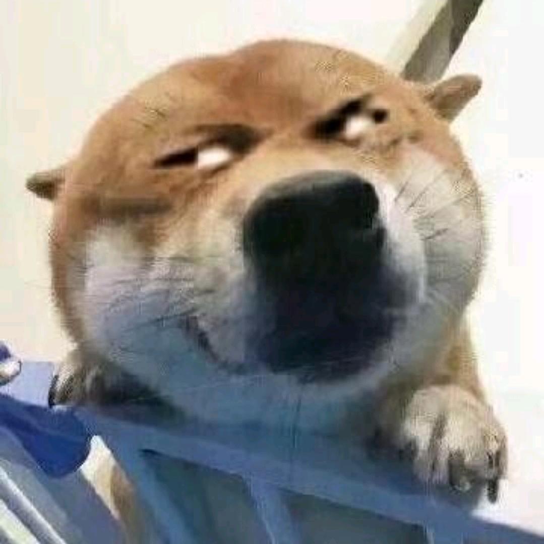 龙宝