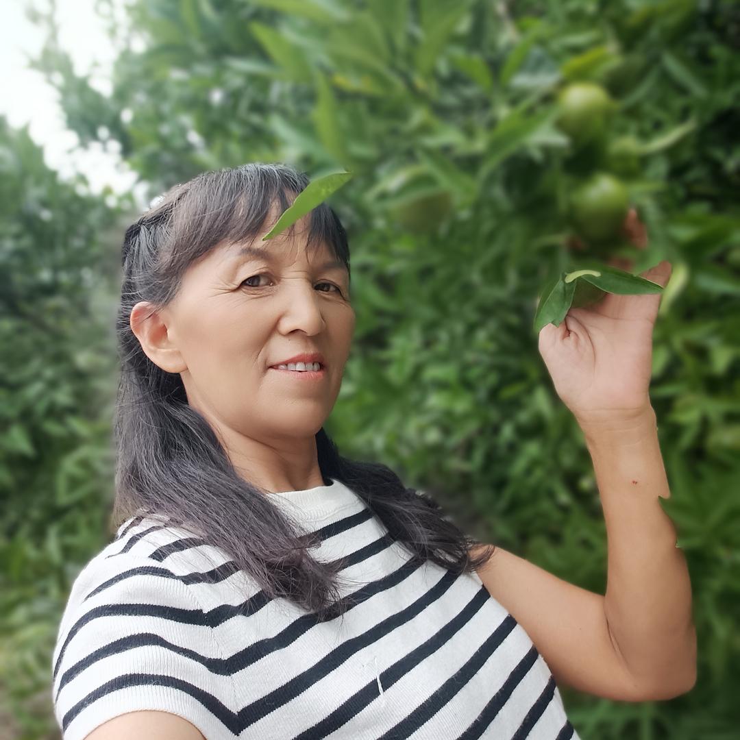可爱的库洛米