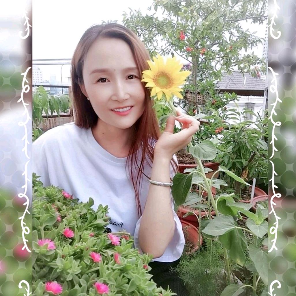 木木🌻小花园