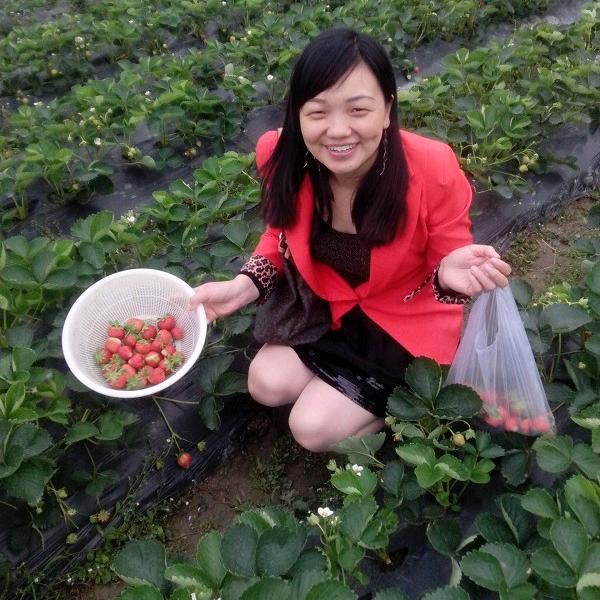 玲玲（首播）