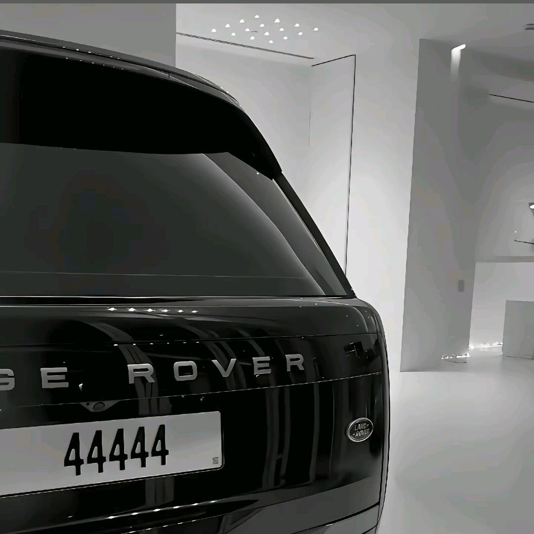 …………………………