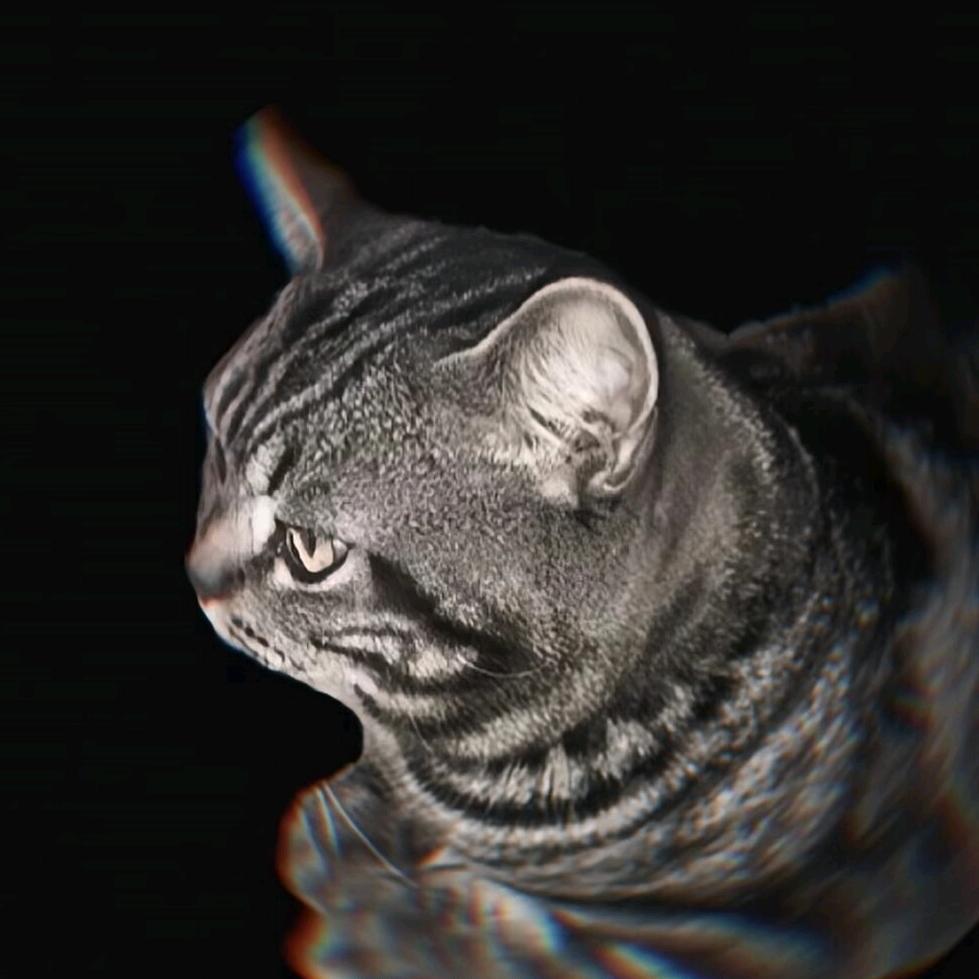 磊哥