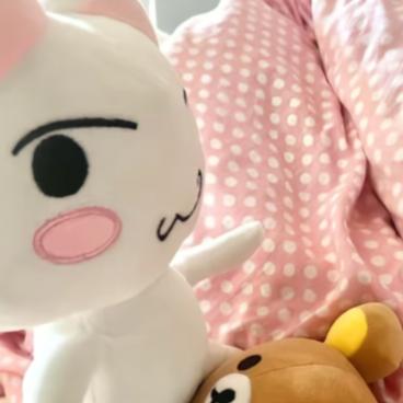 用户030619