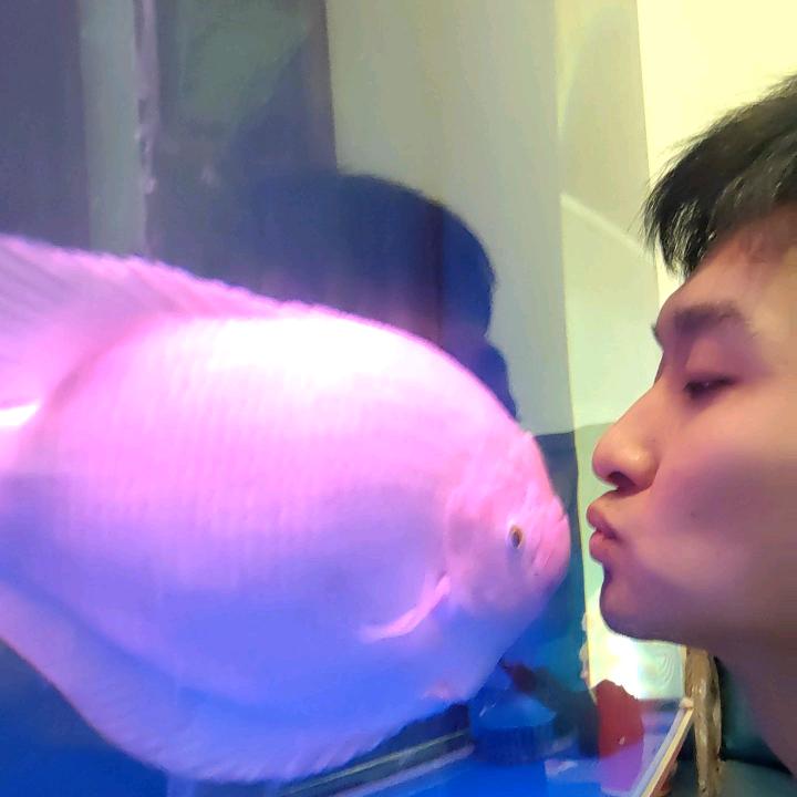 执笔绘倾城_