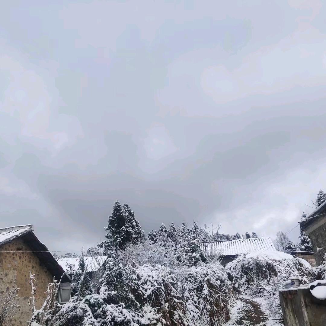 এ᭄随风踏浪࿐ོ