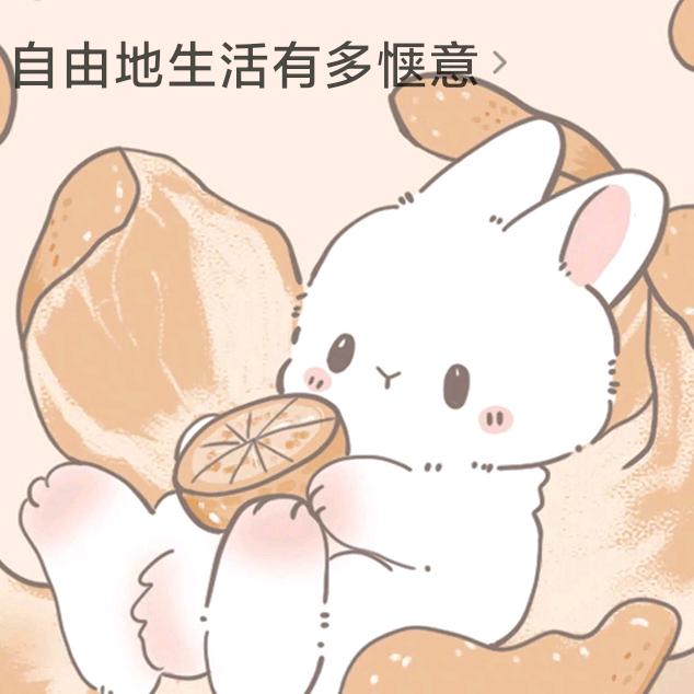 宝乐头像