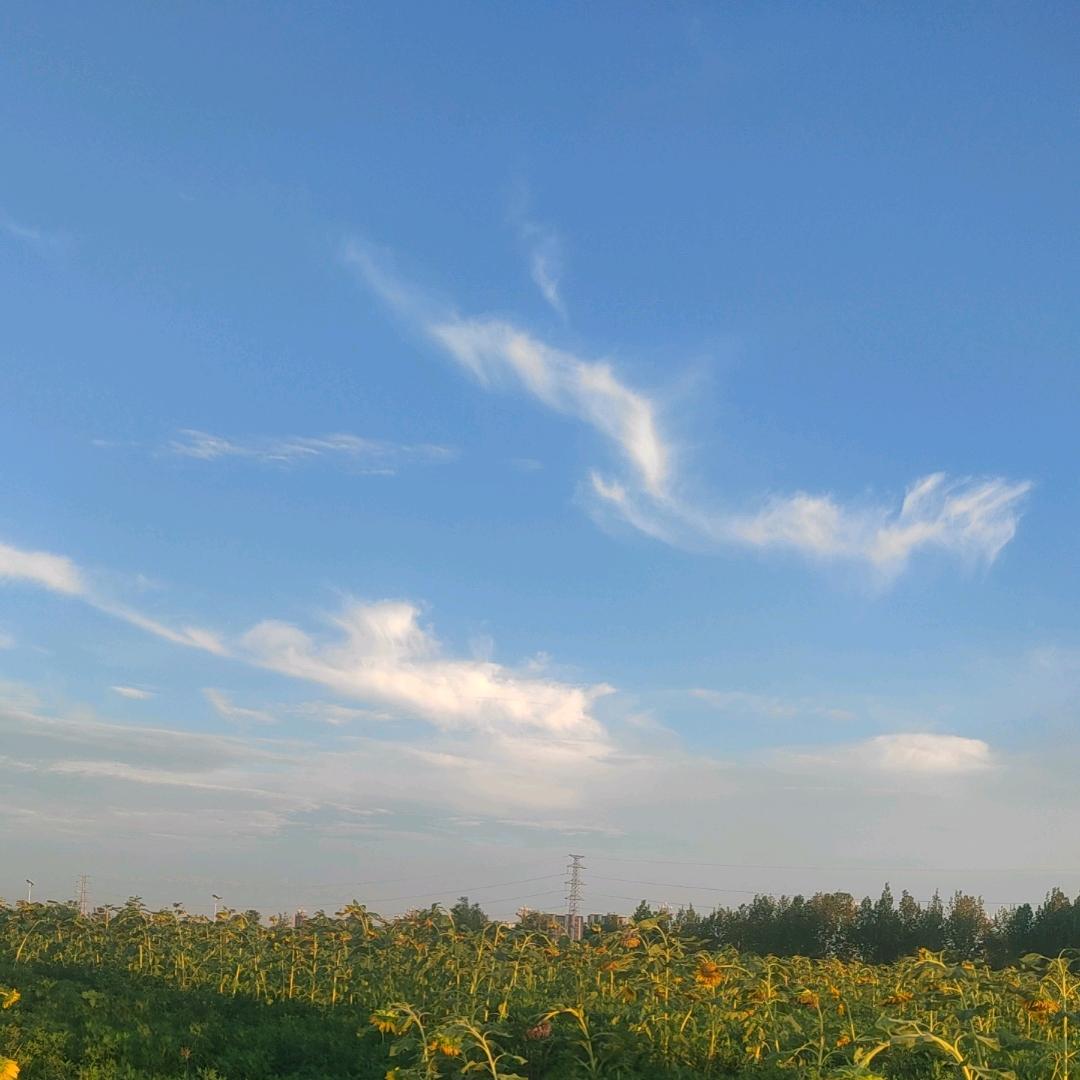 昕曦
