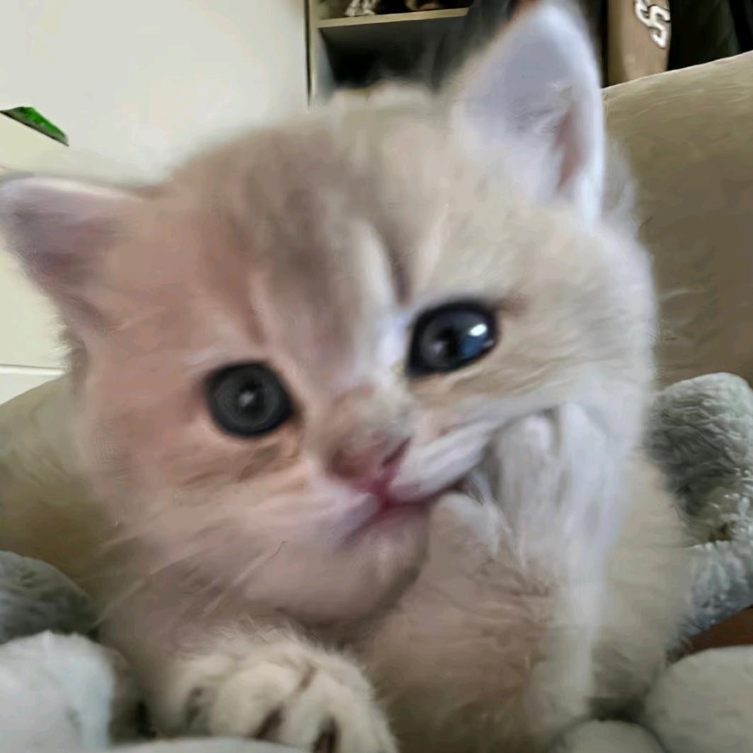 🦴