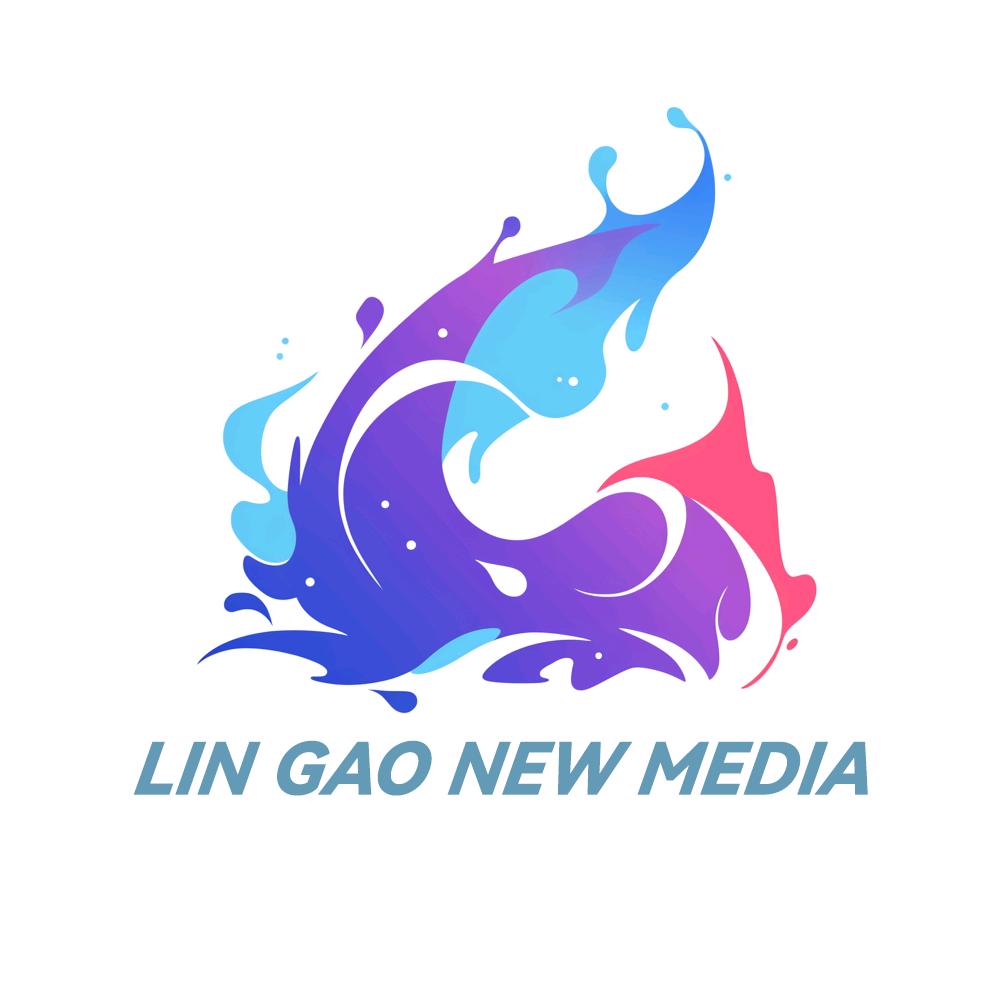 宁波市林高文化传媒有限公司