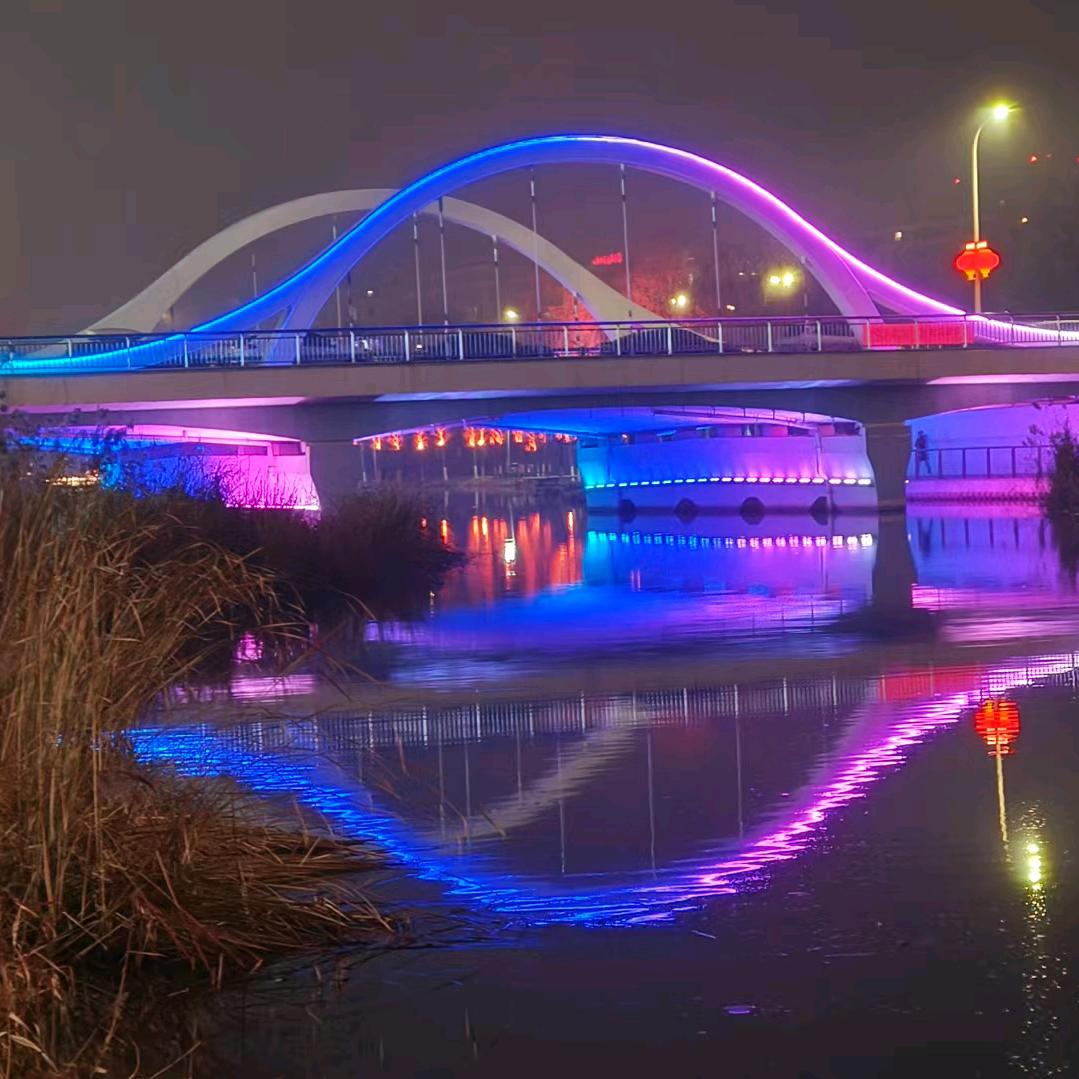 郑露露