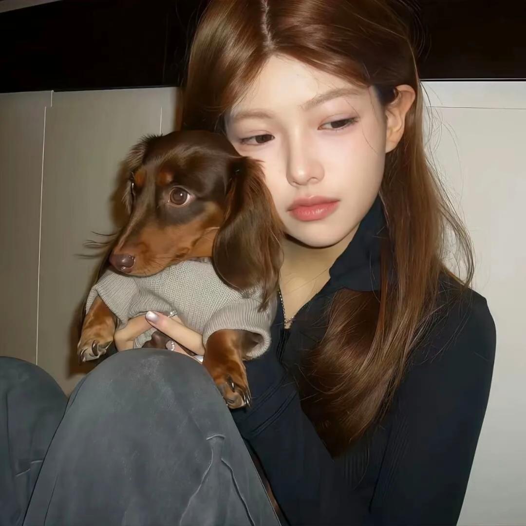 菜怡