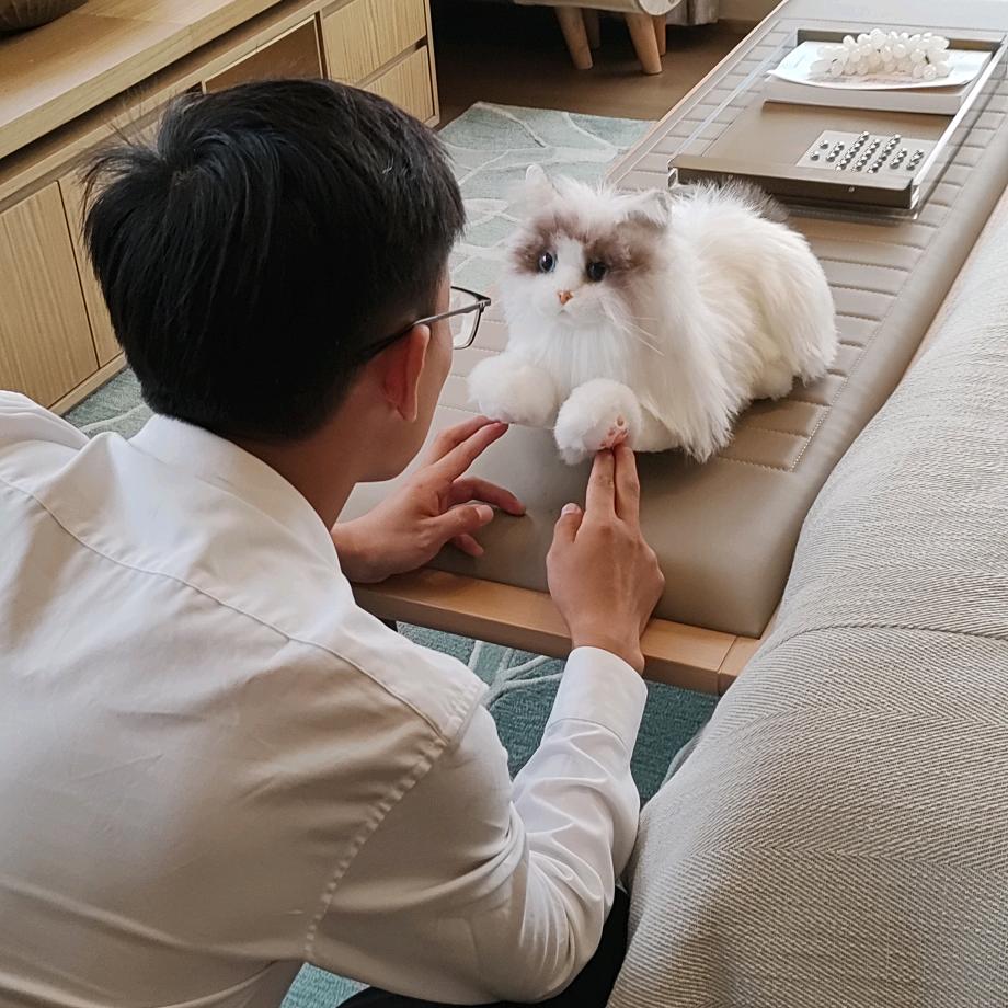 湾区视频楼市