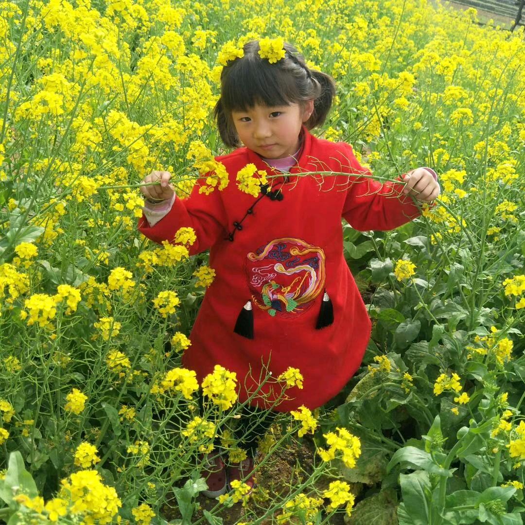 四叶草