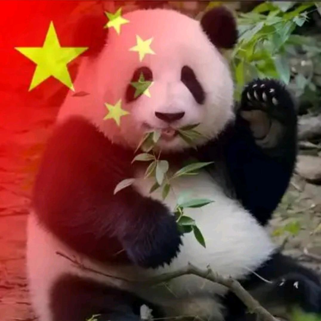 爱国之心永存