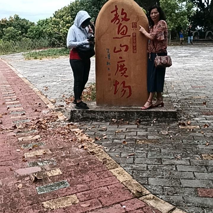 振纲599