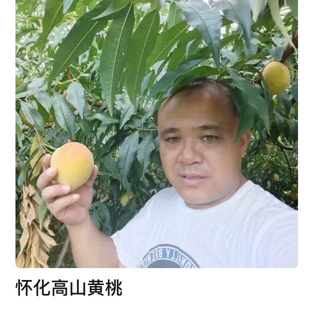 怀化芷江胖子水果店