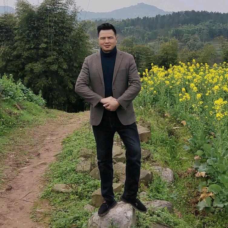 富顺县宏运二手车咨询服务部
