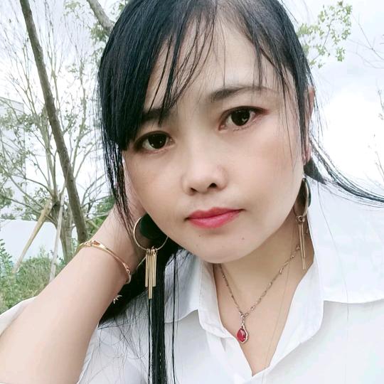 空中的鸟
