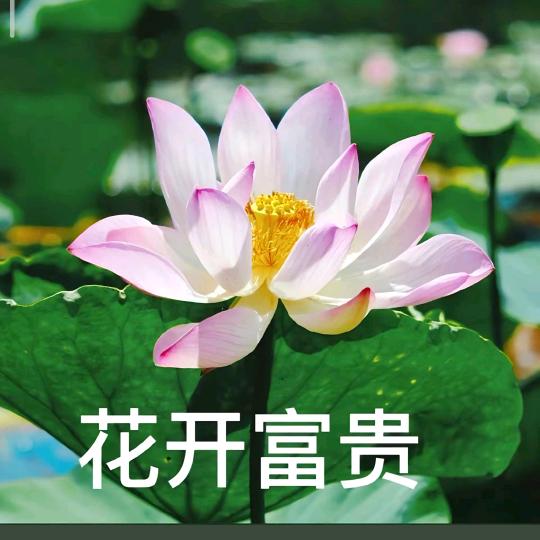 不爱赚钱