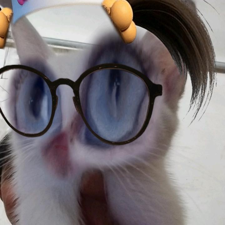 李一户