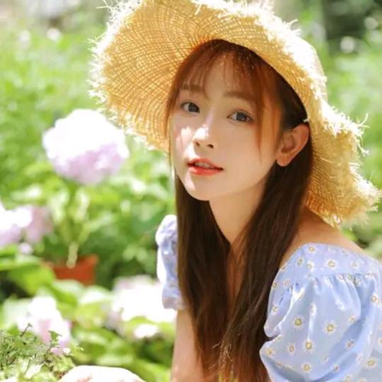 蝶恋花花
