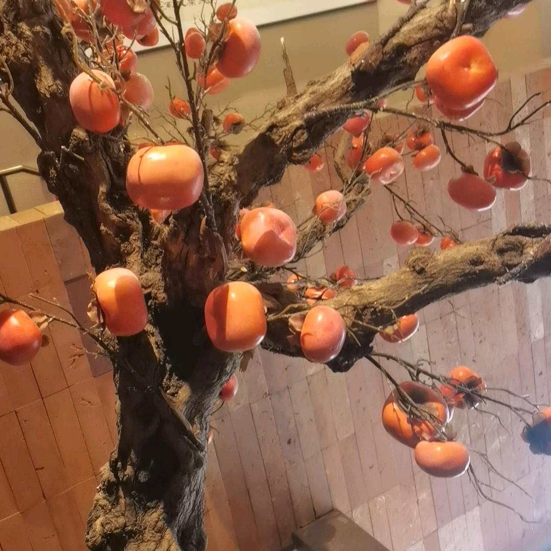 梦梦
