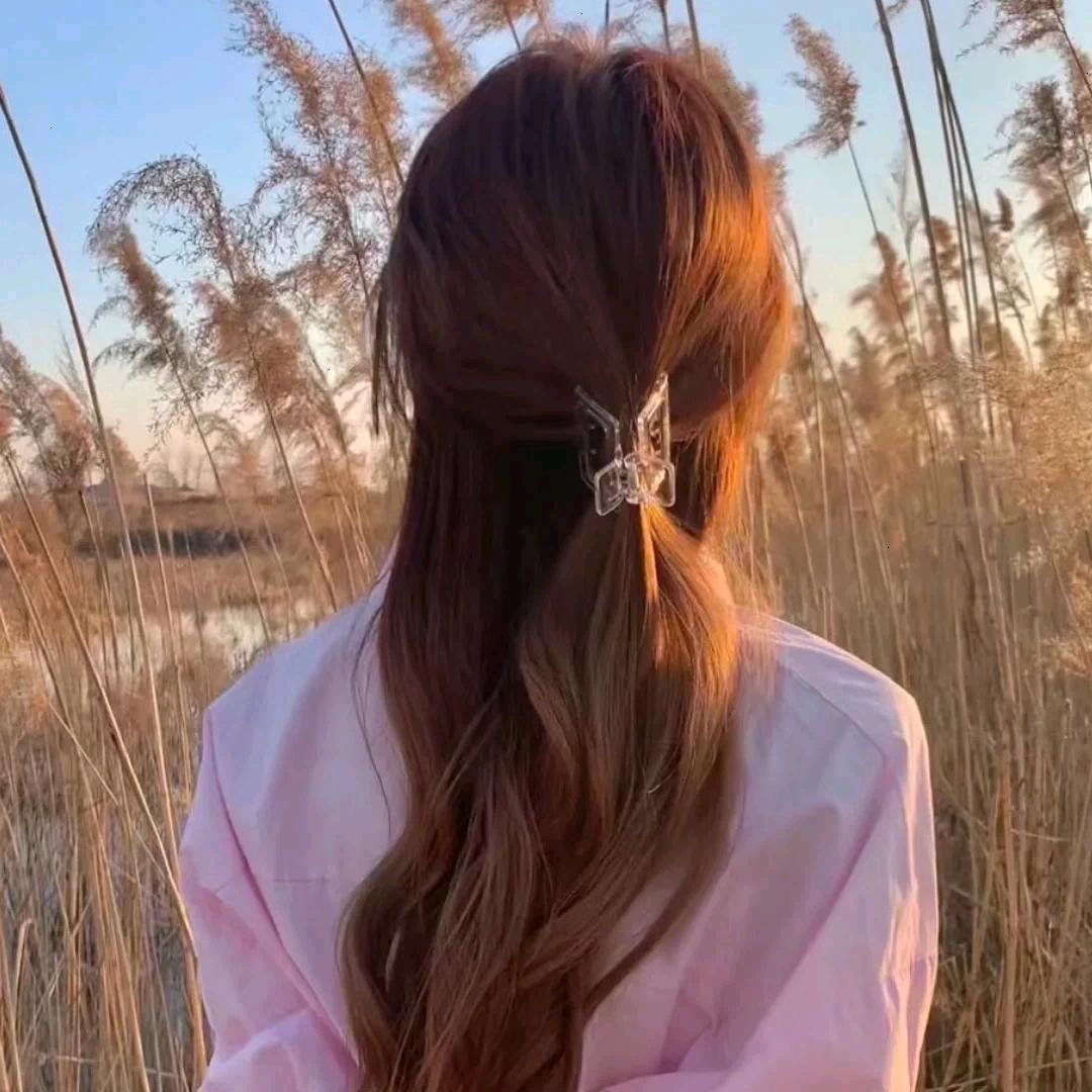 🍀陈陈🍀