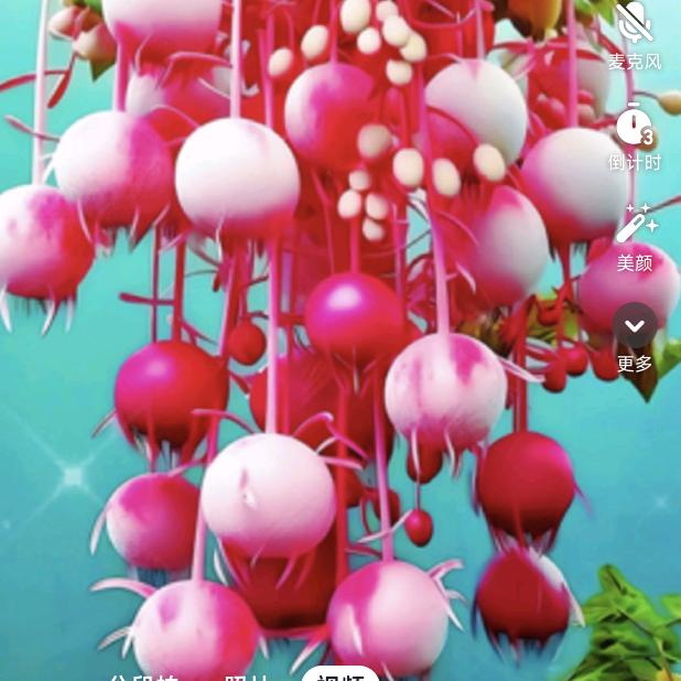 想恋