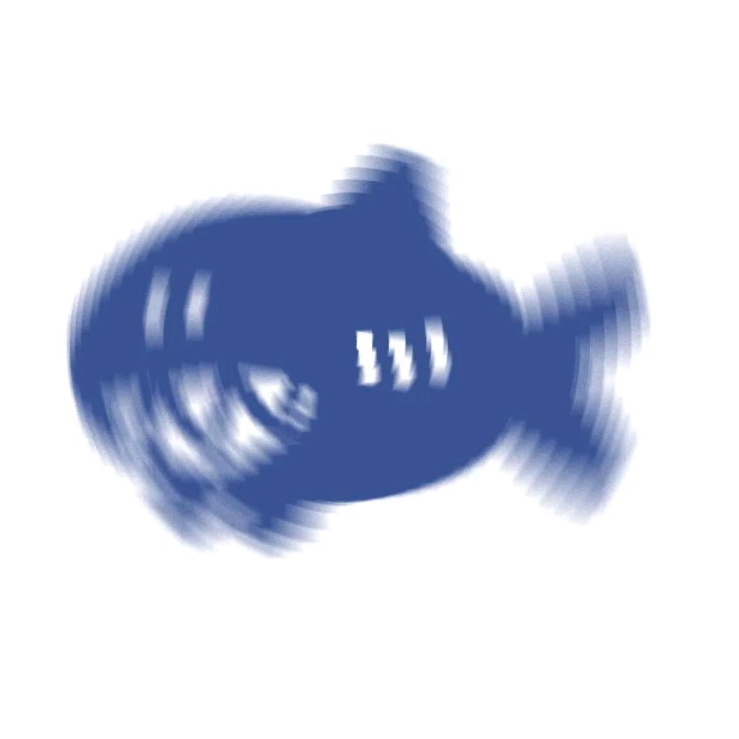 面饼米鱼