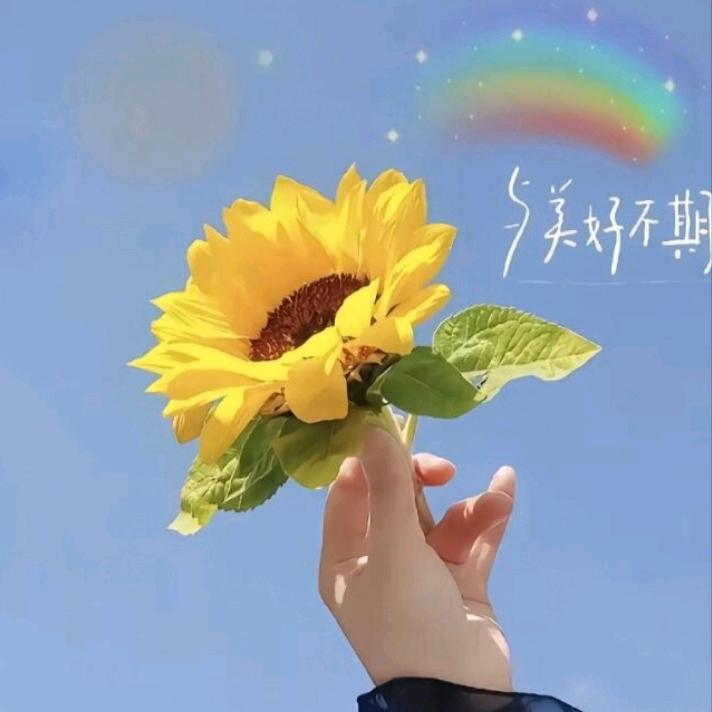 媛媛吖