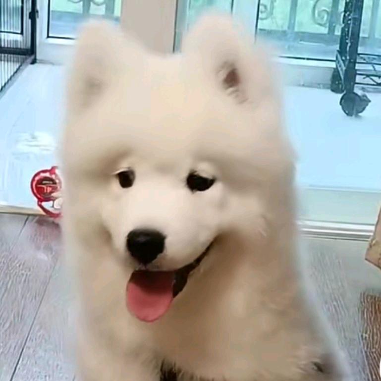 吴兴戴记生鲜坊
