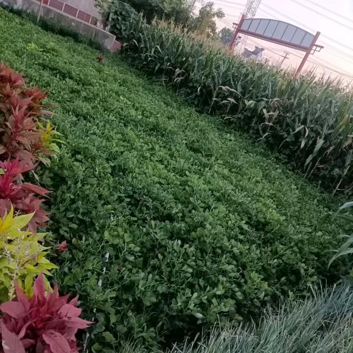 新旧空调出售安装专业出租车