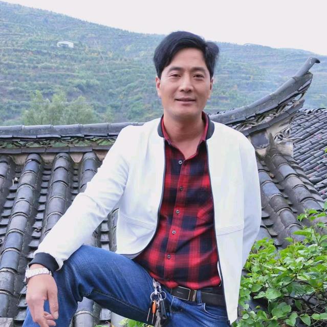 陈总,每晚八点直播