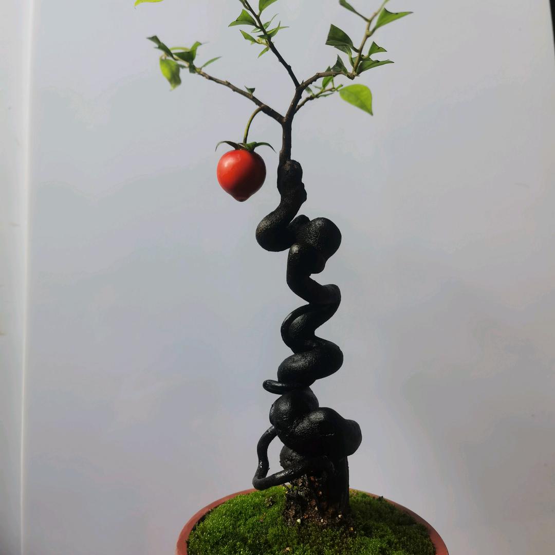 彼此珍惜