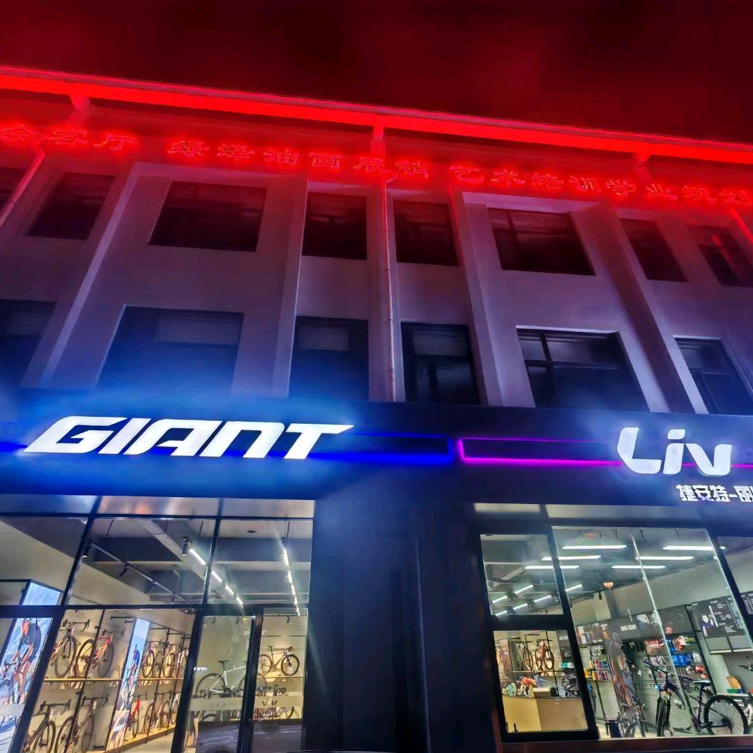 莱西捷安特天津路店