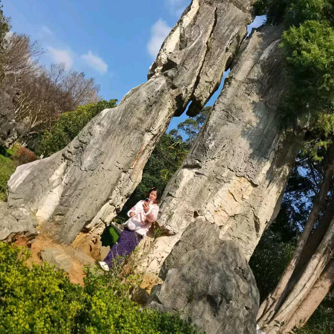 🌳🌴奇迹