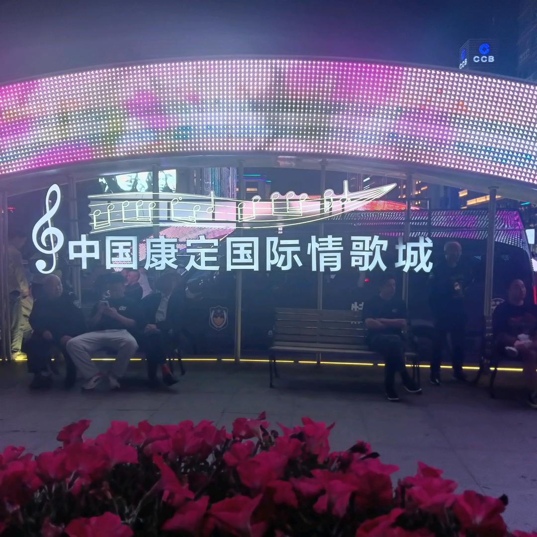 夜猫子