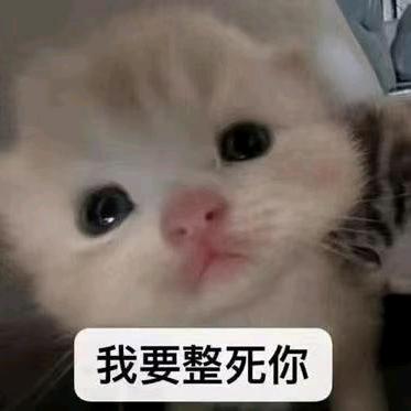 小猫大王