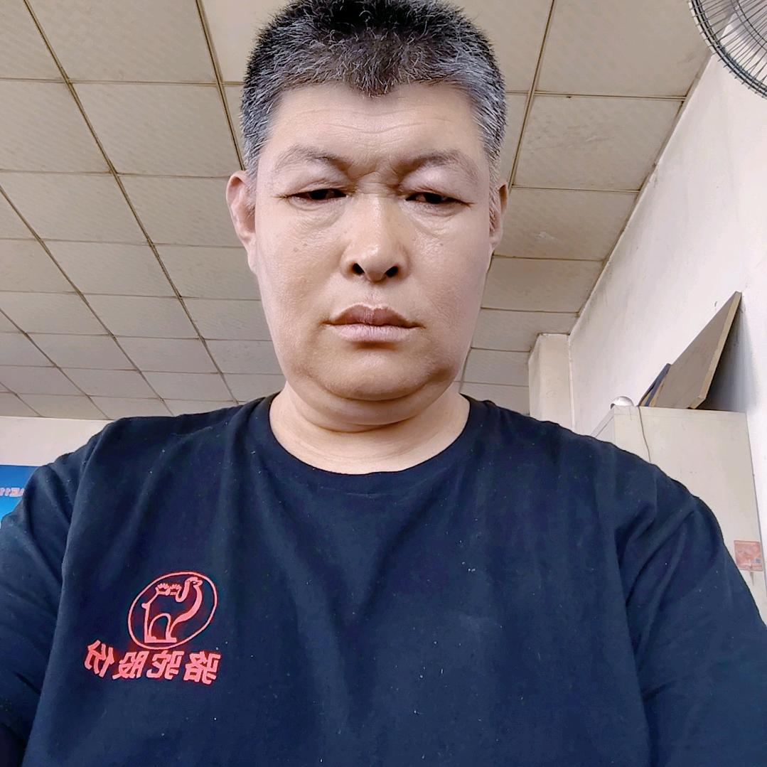 骆驼蓄电池孙哥